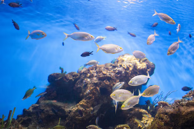 aquarium-repair