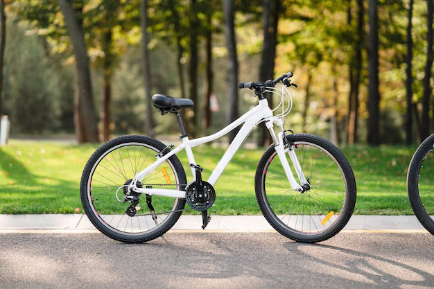 bicycle-repair
