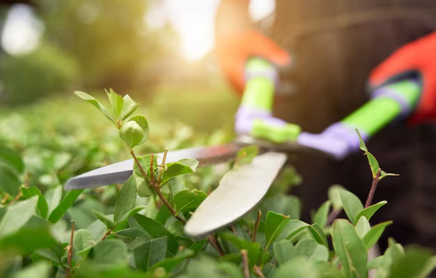 garden-tool-repair