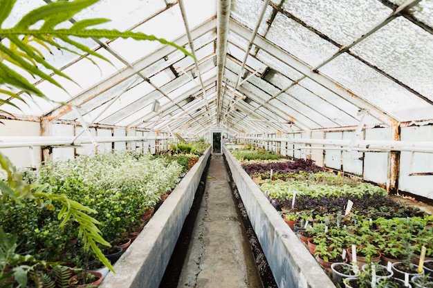 greenhouse-repair