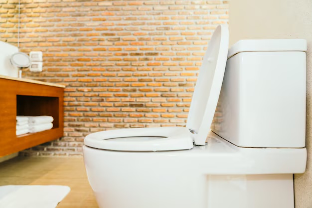 toilet-repair